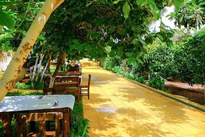 Suna Pansiyon Seferihisar Ngoại thất bức ảnh